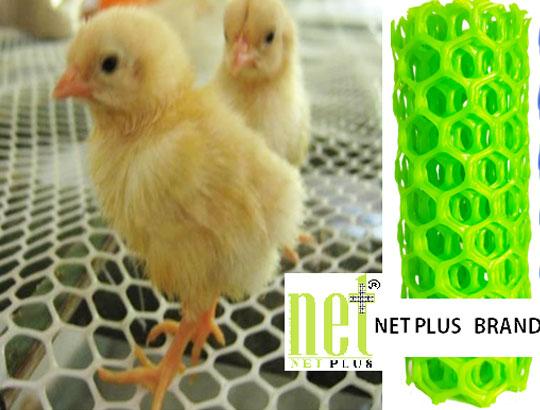 Chick Brooding Net
