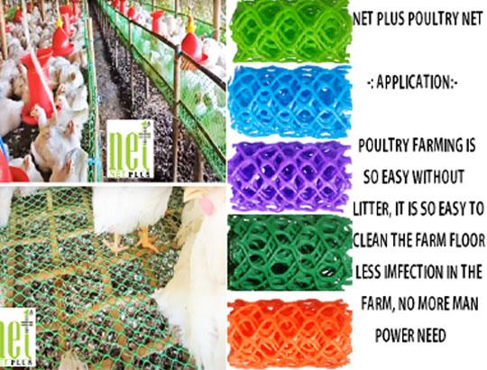 Poultry System